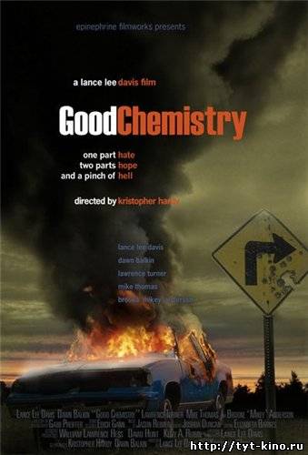 Хорошая химия / Good Chemistry (2008)