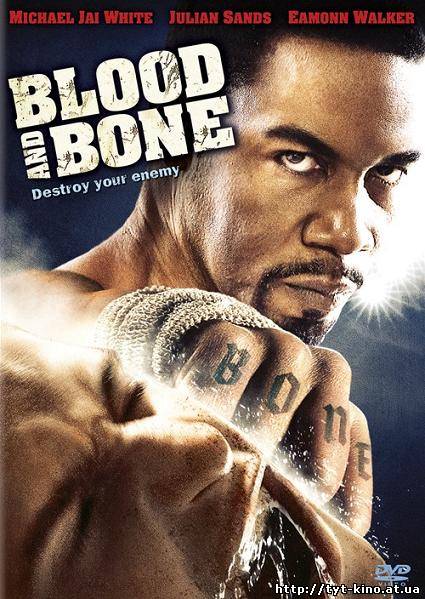 Кровь и кость / Blood and Bone (2009)